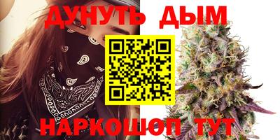 спайс Ачхой-Мартан