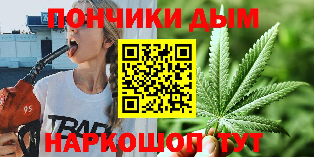 Канабис сатива Тольятти